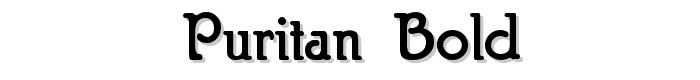 Puritan Bold font